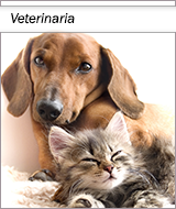 Veterinaria